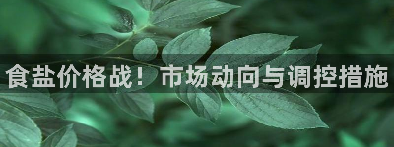 威九国际PPT
