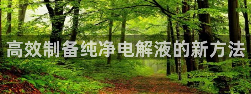 威九国际的金融服务
