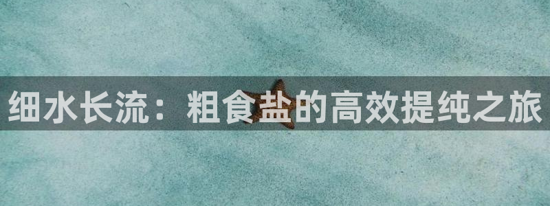 威九国际人民网招聘