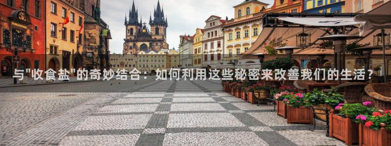 威九国际宣传片