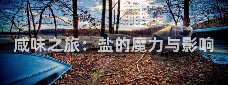 威九国际最新：咸味之旅：盐的魔力与影响